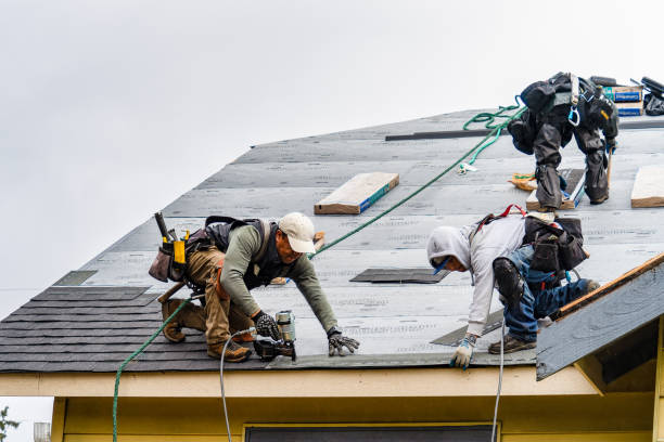 Professional Roof Replacement technician working in Morrisonville, IL